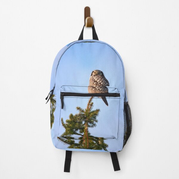 Item preview, In the glorious sunshine. Northern hawk-owl designed and sold by Jouko Lehto Photography.