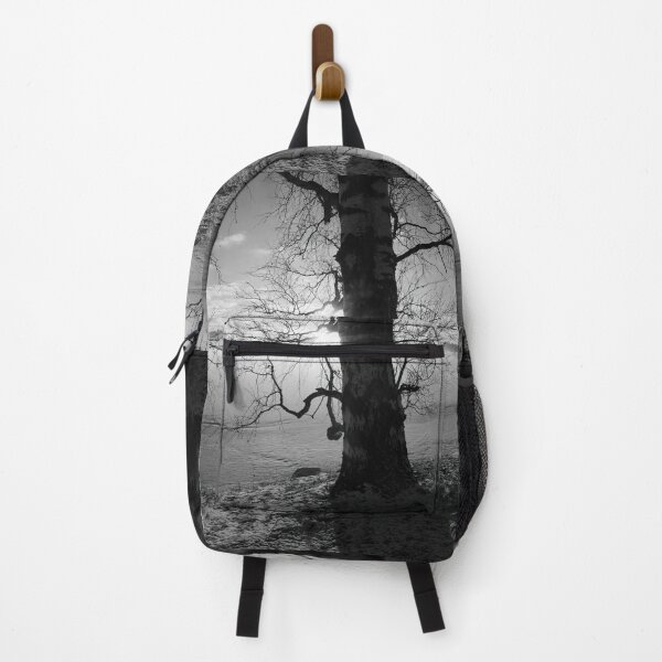 Item preview, That old birch.Tampere Arboretum bw designed and sold by Jouko Lehto Photography.