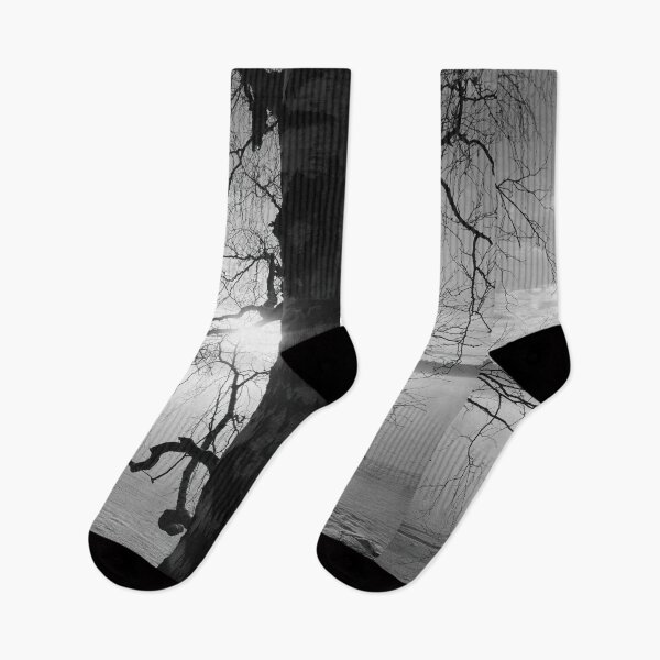 Item preview, That old birch.Tampere Arboretum bw designed and sold by Jouko Lehto Photography.