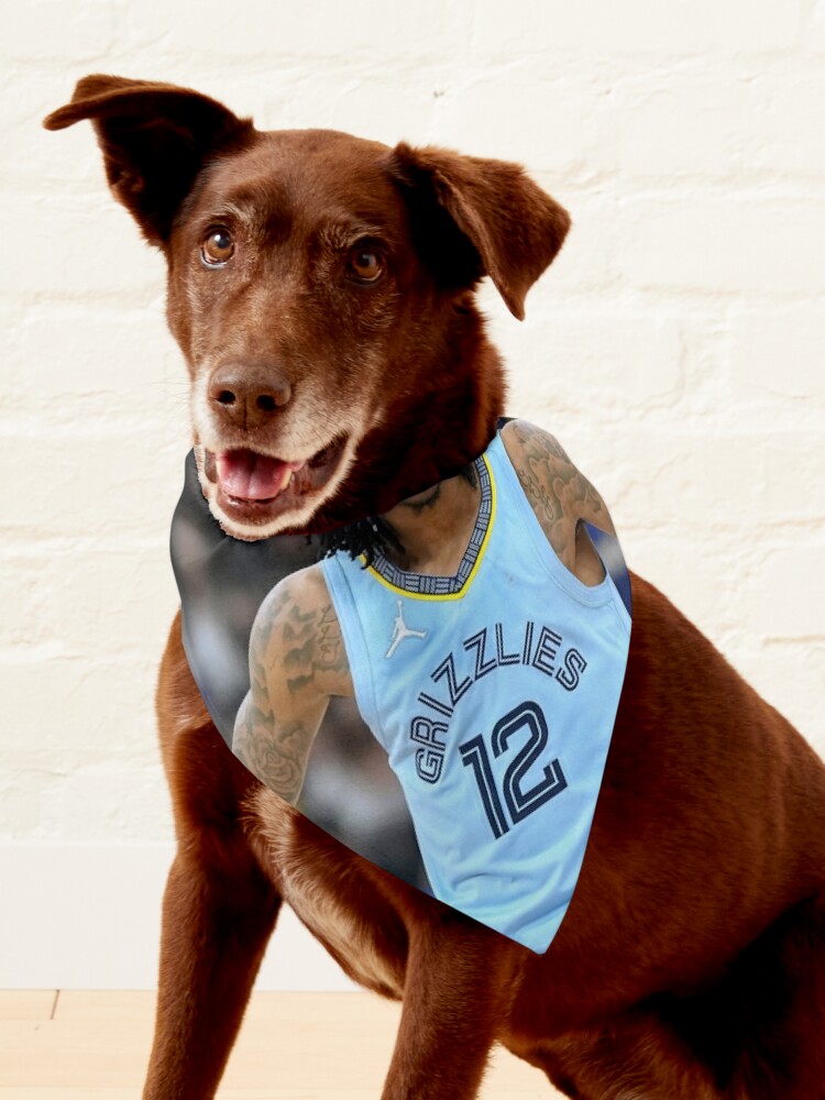 NBA, Dog, Nwt Dog Jersey