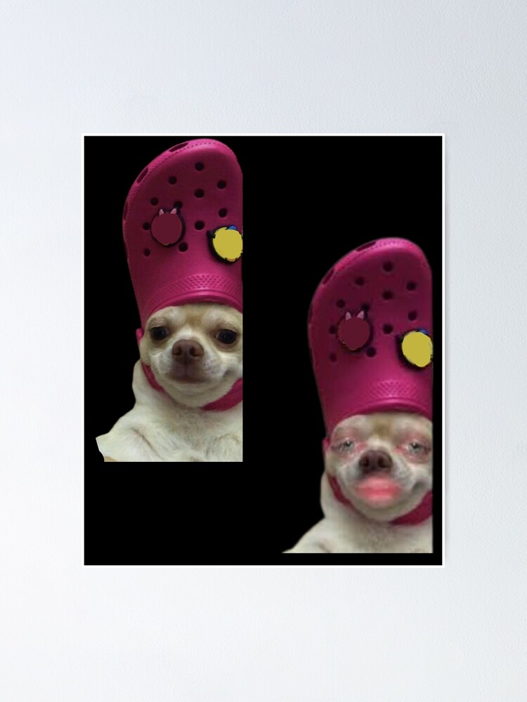 Póster «Perro con cocodrilo en la cabeza meme» de redakhatib | Redbubble