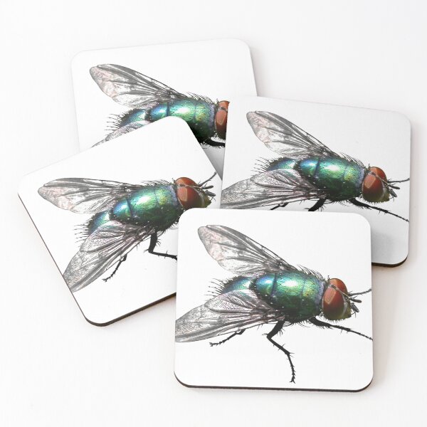 Item preview, Blue Bottle Fly designed and sold by Insectland.