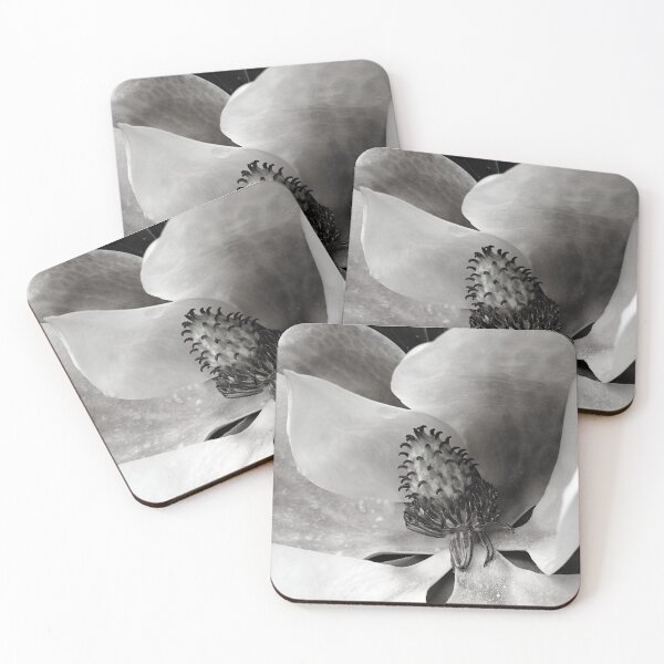 Item preview, silvery greyscale Southern magnolia | silver grey gray white black designed and sold by DigitalEurydice.