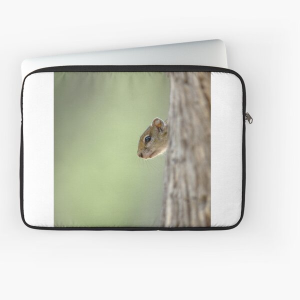 Squirrel - Ardilla - Ecureuil Housse d'ordinateur