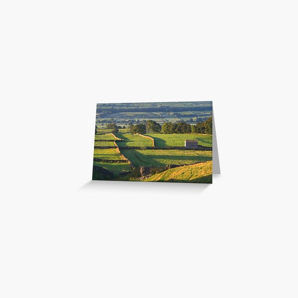 Morning Light near Askrigg - Yorkshire Dales Greeting Card