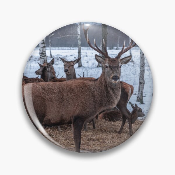 Item preview, Majestic red deer in winter designed and sold by AlbertMi.