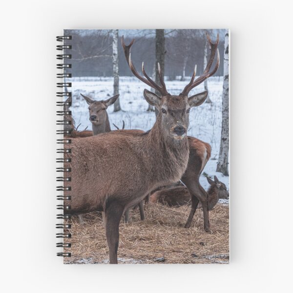 Item preview, Majestic red deer in winter designed and sold by AlbertMi.