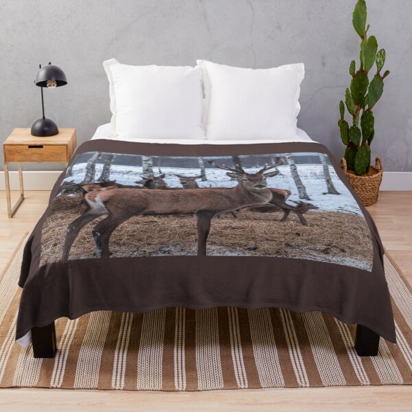 Item preview, Majestic red deer in winter designed and sold by AlbertMi.