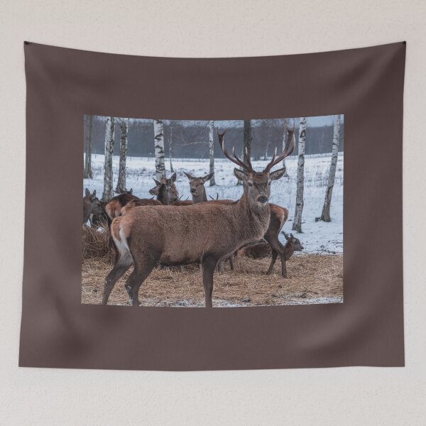 Item preview, Majestic red deer in winter designed and sold by AlbertMi.