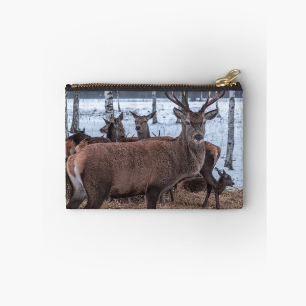 Item preview, Majestic red deer in winter designed and sold by AlbertMi.