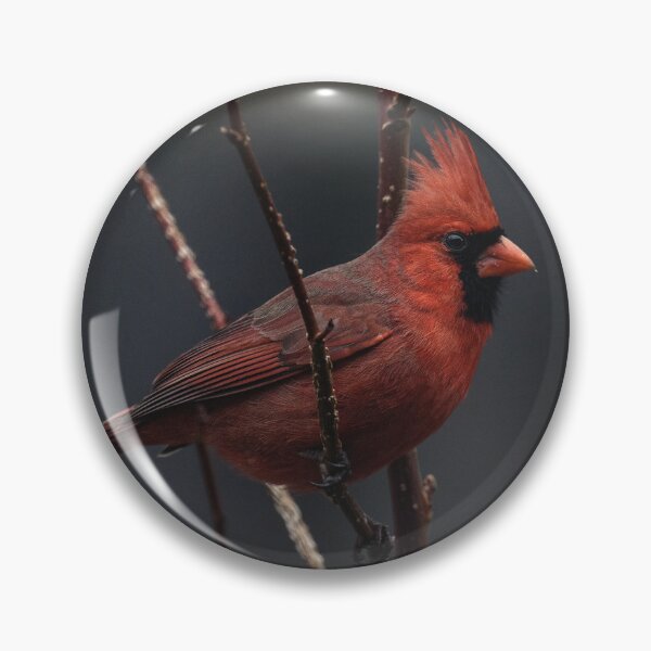 Item preview, Perched Cardinal designed and sold by ramiromarquez.