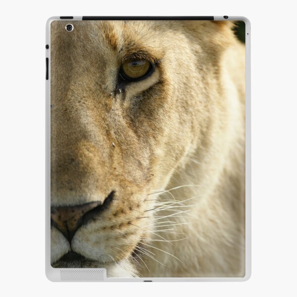 Lion Skin adhésive iPad
