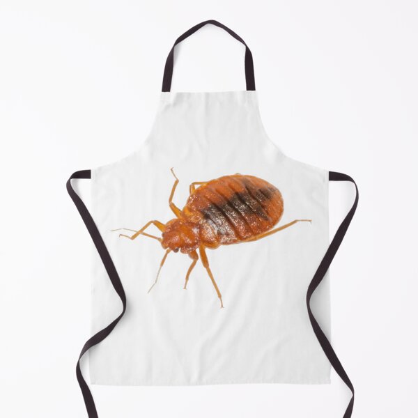 Item preview, Chinche designed and sold by Insectland.
