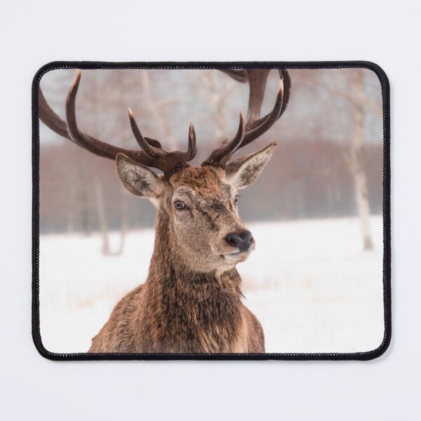 Item preview, Majestic red deer in winter designed and sold by AlbertMi.