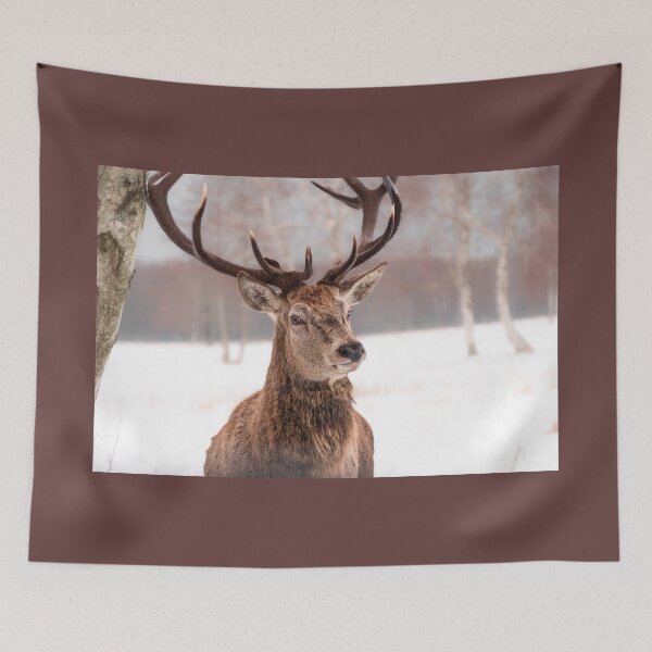 Item preview, Majestic red deer in winter designed and sold by AlbertMi.