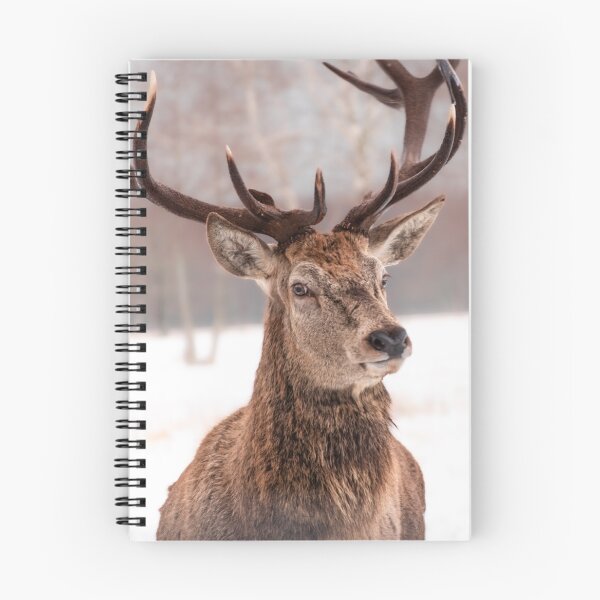 Item preview, Majestic red deer in winter designed and sold by AlbertMi.