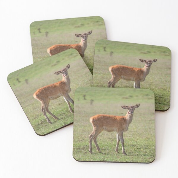 Item preview, Young deer grazing in a meadow in autumn designed and sold by AlbertMi.