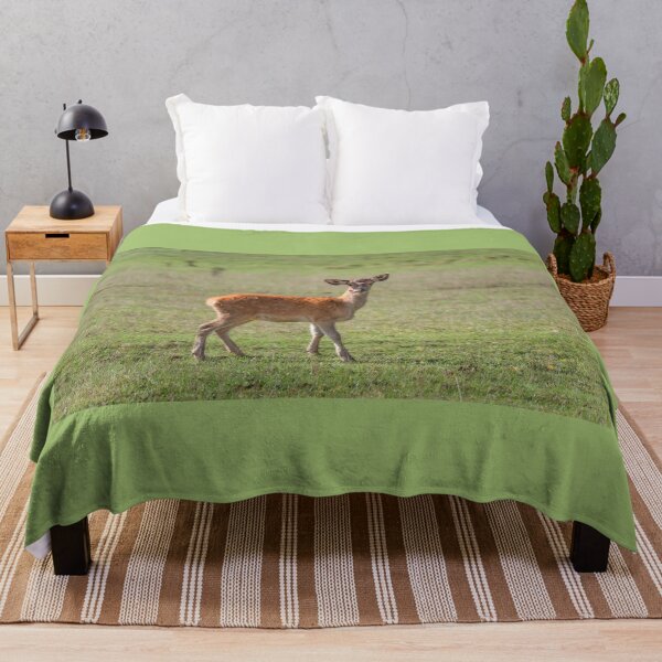 Item preview, Young deer grazing in a meadow in autumn designed and sold by AlbertMi.