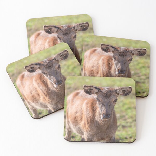 Item preview, Young deer grazing in a meadow in autumn designed and sold by AlbertMi.