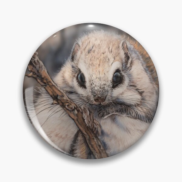 Item preview, Japanese Dwarf Flying Squirrel designed and sold by alandodrawing.