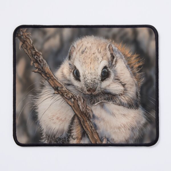 Item preview, Japanese Dwarf Flying Squirrel designed and sold by alandodrawing.