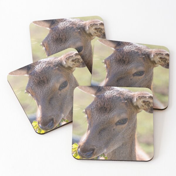 Item preview, Young deer grazing in a meadow in autumn designed and sold by AlbertMi.