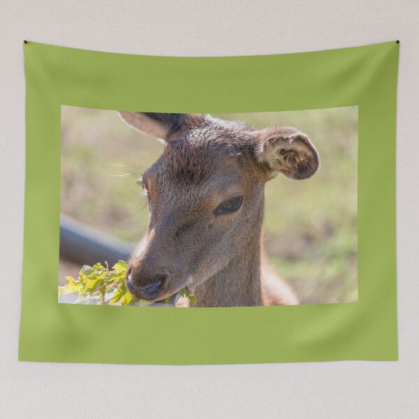 Item preview, Young deer grazing in a meadow in autumn designed and sold by AlbertMi.