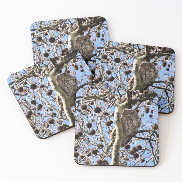 Item preview, Tawny Owl on a branch near the top of a Plane tree designed and sold by TwistedClassics.