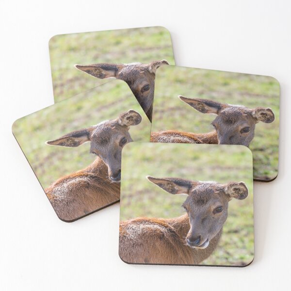 Item preview, Young deer grazing in a meadow in autumn designed and sold by AlbertMi.
