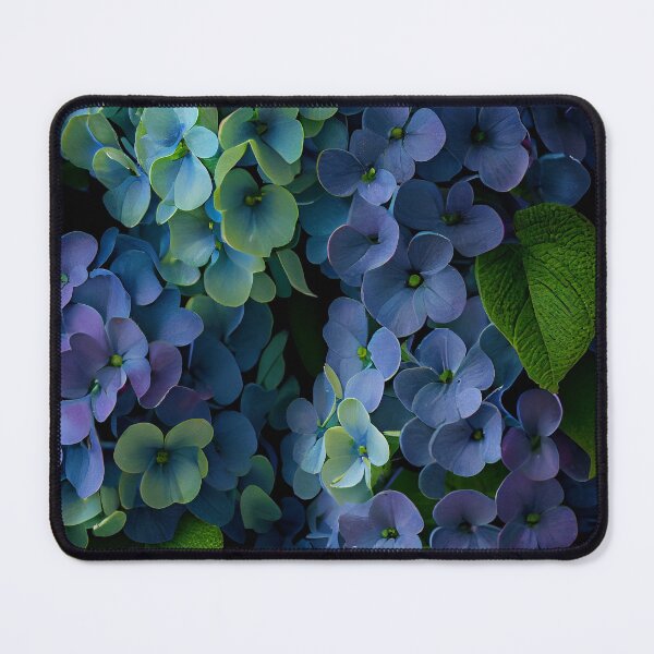 Item preview, Blooming blue sevenbark hydrangea designed and sold by Intrepix.