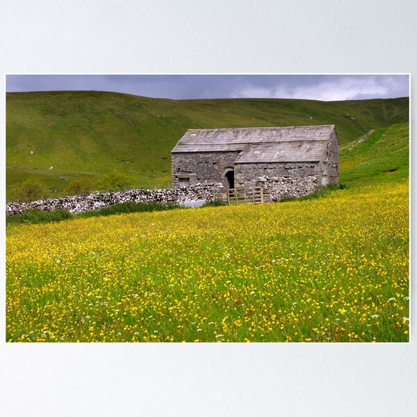 Summer meadow, a traditional barn, and dry stone wall near Buckden - The Yorkshire Dales Poster