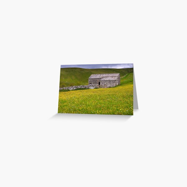 Summer meadow, a traditional barn, and dry stone wall near Buckden - The Yorkshire Dales Greeting Card