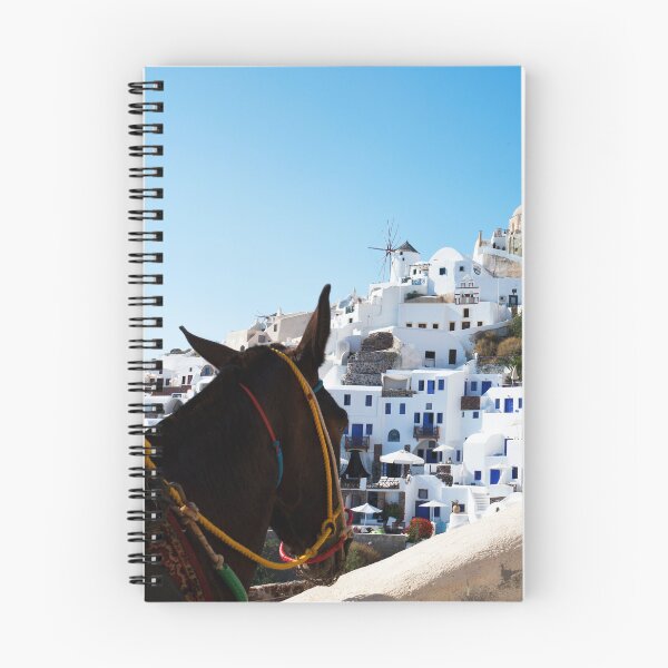 Item preview, Donkey's View Of Oia, Santorini  designed and sold by Paul Thompson Photography.