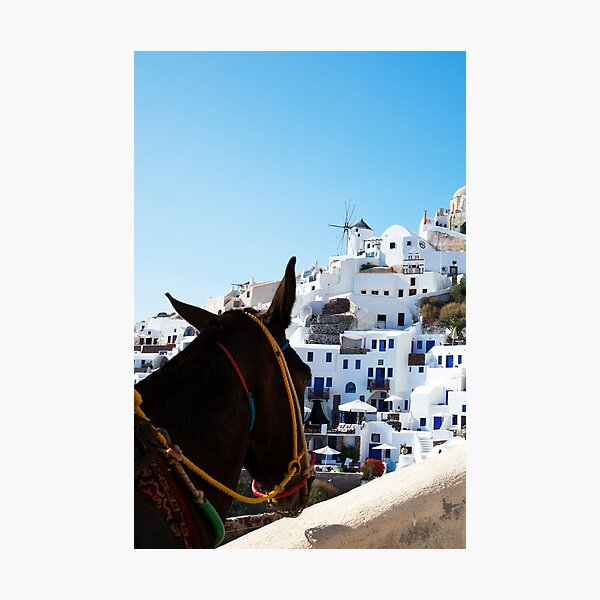 Item preview, Donkey's View Of Oia, Santorini  designed and sold by Paul Thompson Photography.