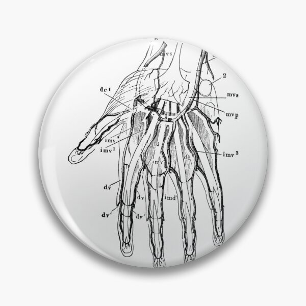 Item preview, Anatomy Hand designed and sold by emmmichelle.