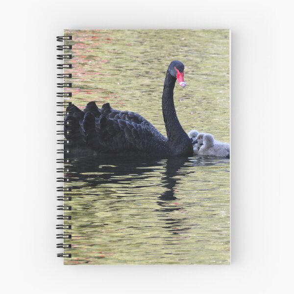 Item preview, Black Swan with three young cygnets designed and sold by TwistedClassics.