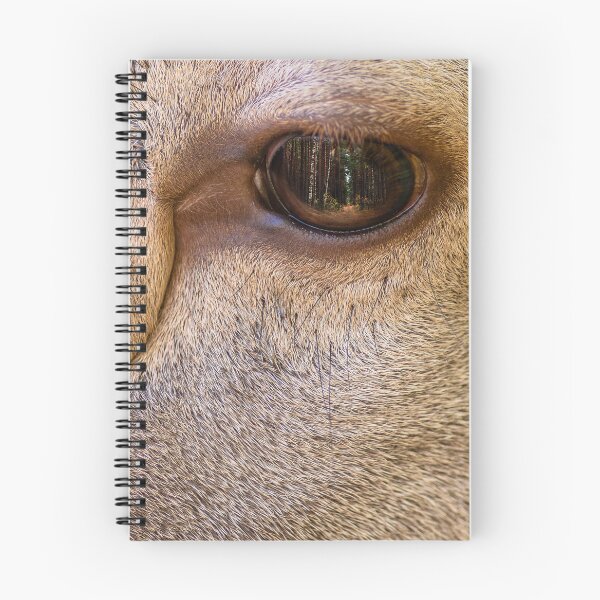 Item preview, Close-up of a red deer's face, focusing on the eye designed and sold by AlbertMi.