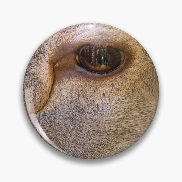 Item preview, Close-up of a red deer's face, focusing on the eye designed and sold by AlbertMi.