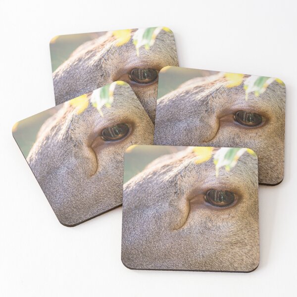 Item preview, Close-up of a red deer's face, focusing on the eye designed and sold by AlbertMi.