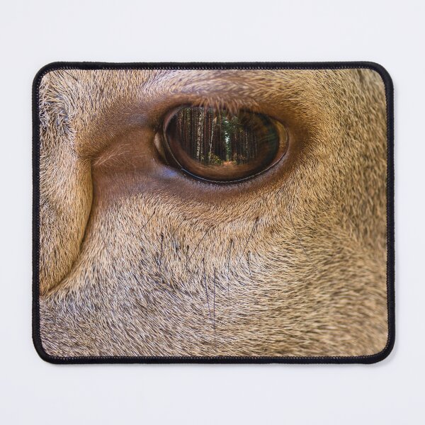 Item preview, Close-up of a red deer's face, focusing on the eye designed and sold by AlbertMi.