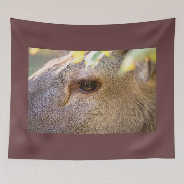 Item preview, Close-up of a red deer's face, focusing on the eye designed and sold by AlbertMi.