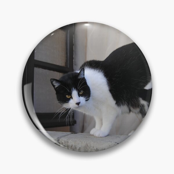 Item preview, Cat in window designed and sold by iago rodriguez dopico.