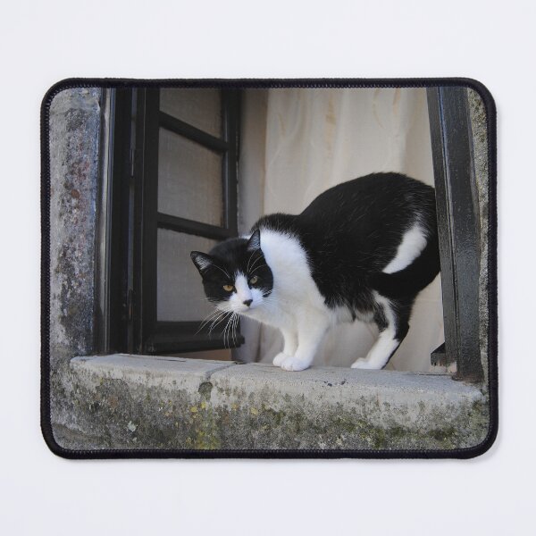 Item preview, Cat in window designed and sold by iago rodriguez dopico.
