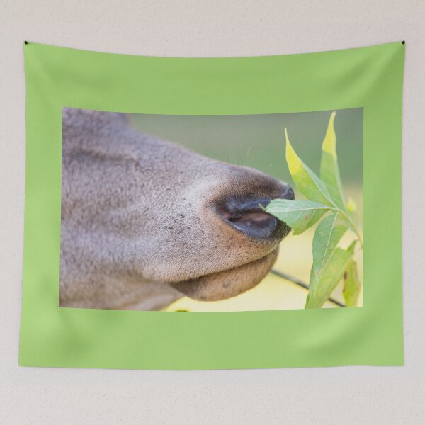 Item preview, Young deer grazing in a meadow in autumn designed and sold by AlbertMi.