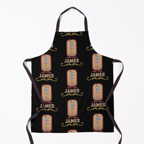Artikelvorschau, JAMES – amerikanische Namen in Hieroglyphenbuchstaben – James, Name in einem pharaonischen Khartouch – hieroglyphische pharaonische Namen entworfen und verkauft von Quotesgallery.