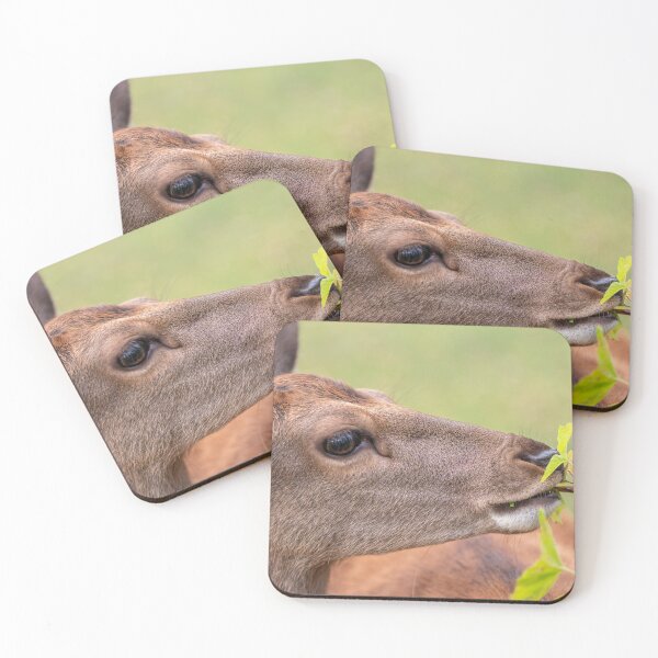 Item preview, Young deer grazing in a meadow in autumn designed and sold by AlbertMi.
