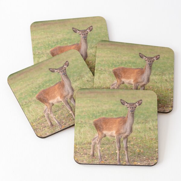 Item preview, Young deer grazing in a meadow in autumn designed and sold by AlbertMi.