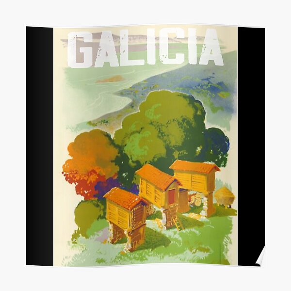 añada gallega Póster