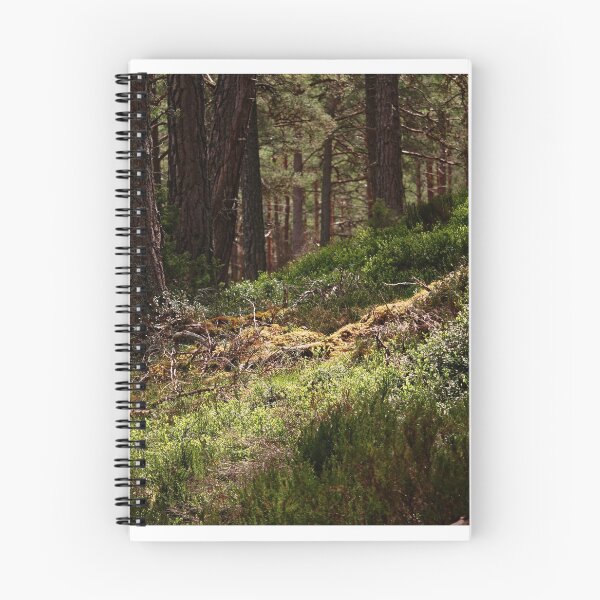 Aperçu de l'œuvre Forêt des Highlands créée et vendue par mpstone.