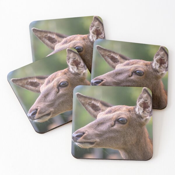 Item preview, Young deer grazing in a meadow in autumn designed and sold by AlbertMi.